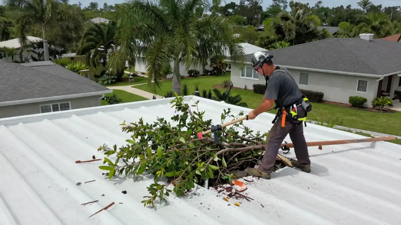 Storm Damage Roof Repair in Sunrise: roofer is clearing large tree branches and debris from a punctured section of a flat